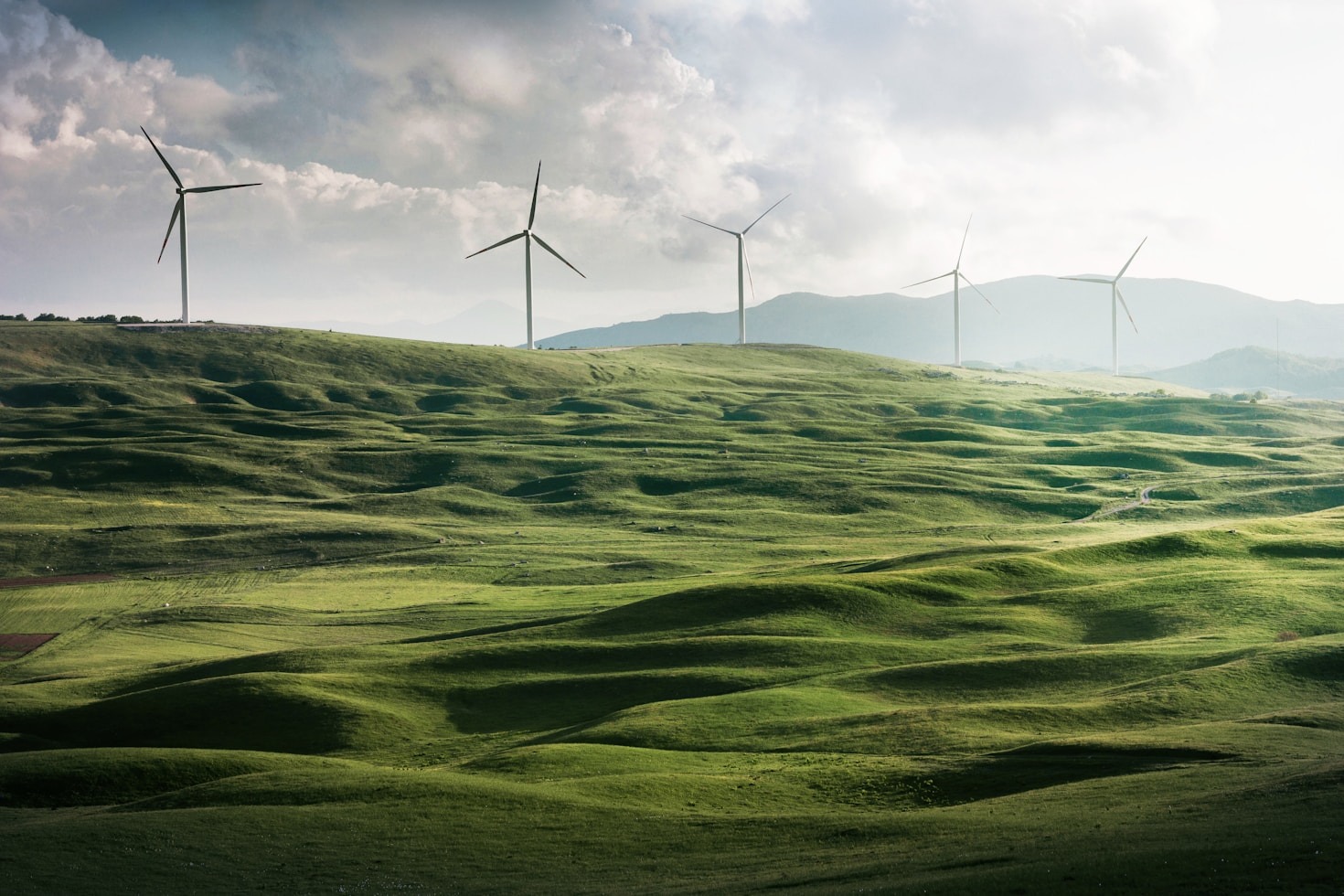 The Future of Sustainable Energy: Trends to Watch
